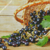 Basket Of Cassis Fruit Diamond Paintings