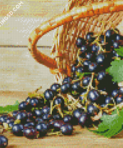 Basket Of Cassis Fruit Diamond Paintings