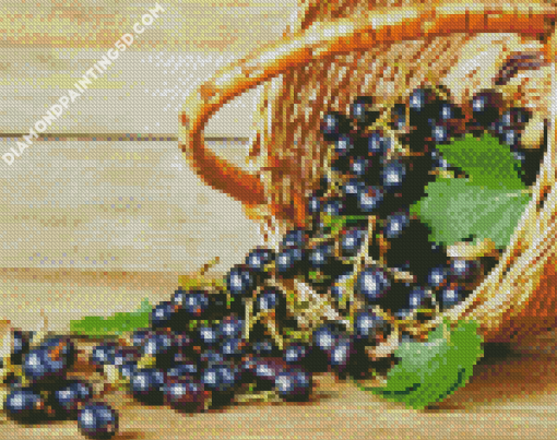 Basket Of Cassis Fruit Diamond Paintings