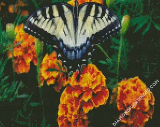 Butterfly Marigolds Diamond Paintings