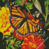 Butterfly On Marigolds Diamond Paintings