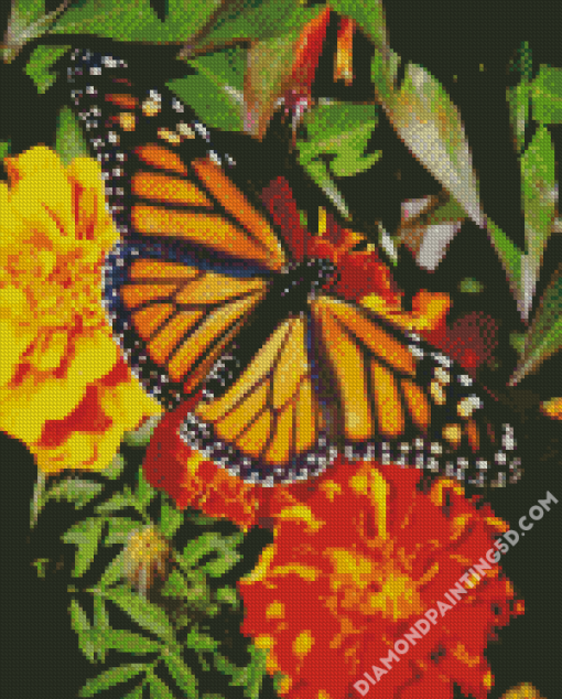 Butterfly On Marigolds Diamond Paintings