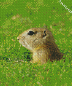 Cute Gopher Animal Diamond Paintings