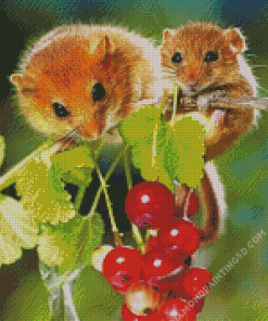 Cute Mice Diamond Paintings