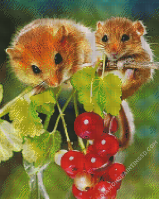 Cute Mice Diamond Paintings