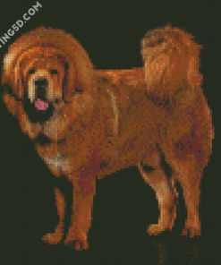 Fluffy Mastiff Dog Diamond Paintings