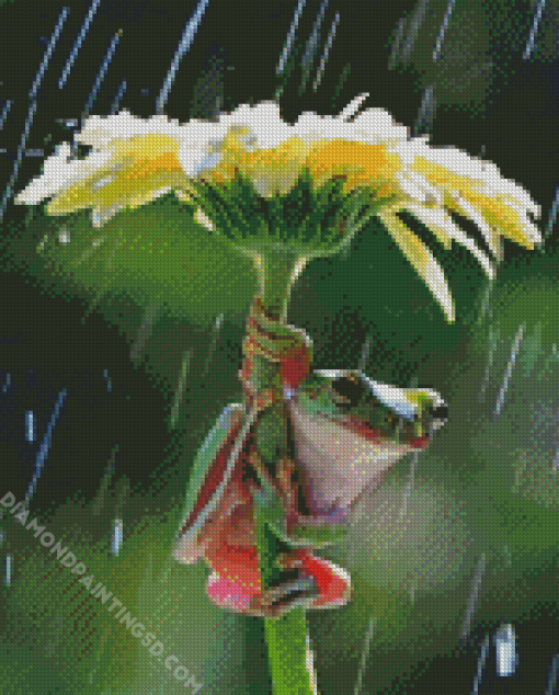 Frog Under Flower Umbrella Diamond Paintings