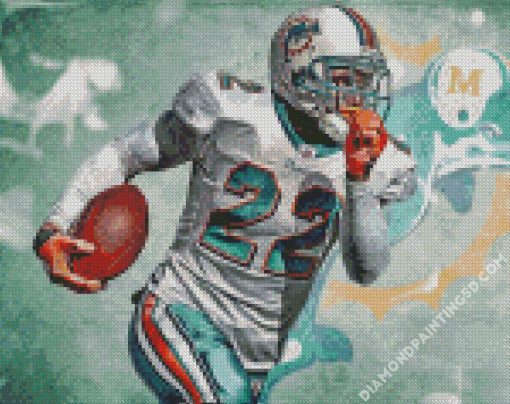 Reggie Bush Miami Dolphins Diamond Paintings