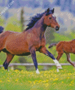 Running Mares Diamond Paintings