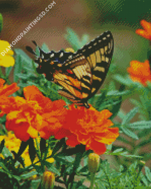 Swallowtail On Marigolds Diamond Paintings