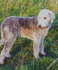 Bedlington Dog Diamond Paintings