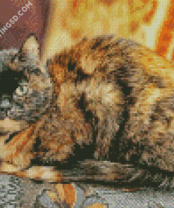 Tortoiseshell Cat Diamond Paintings