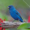 Indigo Bunting Bird Diamond Paintings