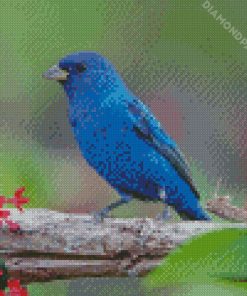 Indigo Bunting Bird Diamond Paintings