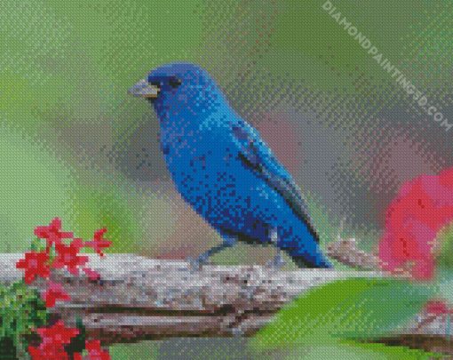 Indigo Bunting Bird Diamond Paintings