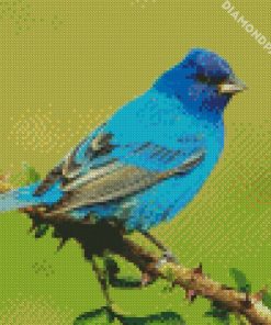 Indigo Bunting On Branch Diamond Paintings