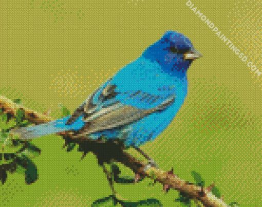 Indigo Bunting On Branch Diamond Paintings