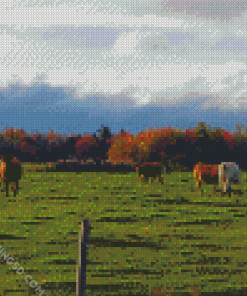 Cows Fall Scene Diamond Paintings