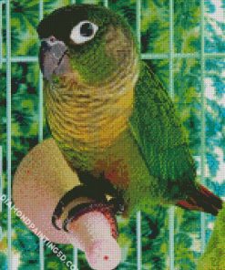 Green Cheeked Bird Diamond Paintings