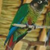 Green Cheeked Parakeet Diamond Paintings