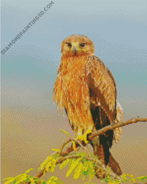 Indian Spotted Eagle On Stick Diamond Paintings