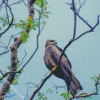 Indian Spotted Eagle On Tree Diamond Paintings