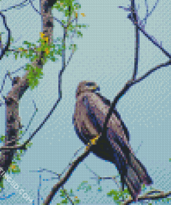 Indian Spotted Eagle On Tree Diamond Paintings