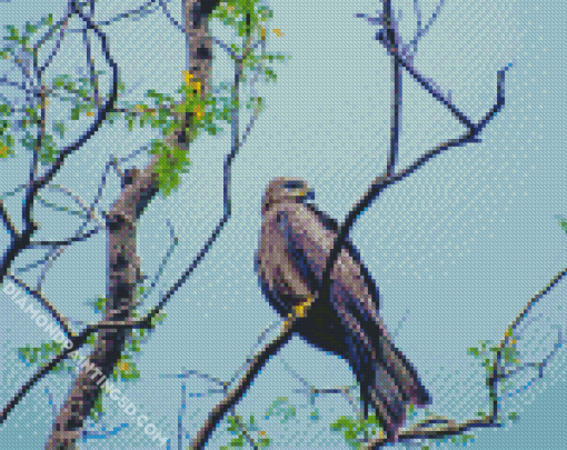 Indian Spotted Eagle On Tree Diamond Paintings