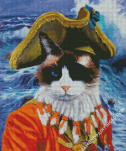 Pirate Cat Art Diamond Paintings