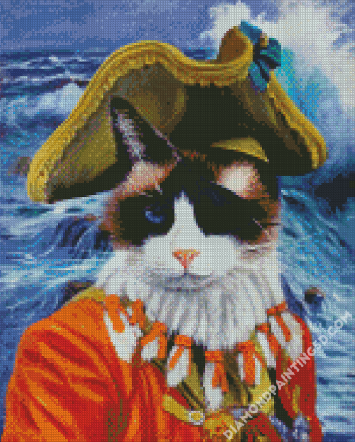 Pirate Cat Art Diamond Paintings