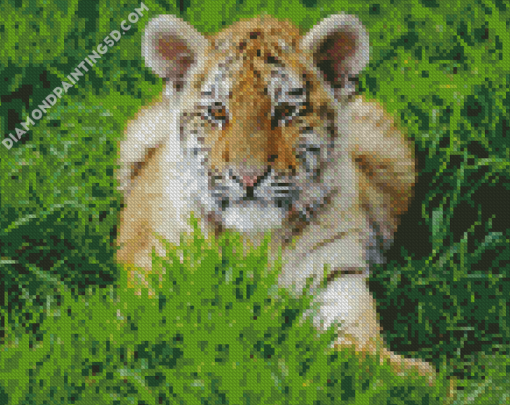 Aesthetic Baby Tiger Diamond Paintings