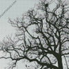 Aesthetic Black And White Tree Diamond Paintings