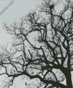 Aesthetic Black And White Tree Diamond Paintings