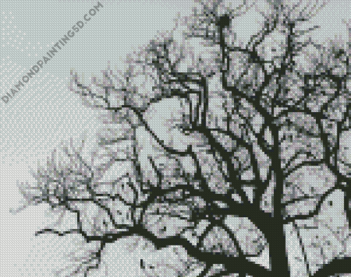 Aesthetic Black And White Tree Diamond Paintings