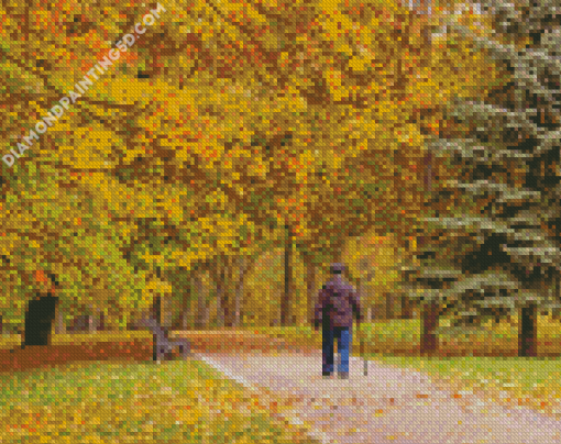 Aesthetic Walk In The Park Diamond Paintings