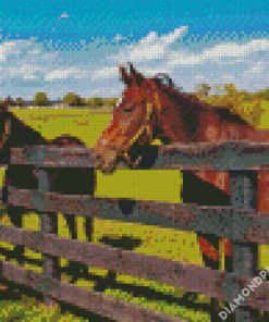 Aesthetic Farm Horses Diamond Paintings