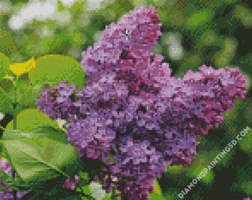 Aesthetic Purple Lilac Tree Diamond Paintings