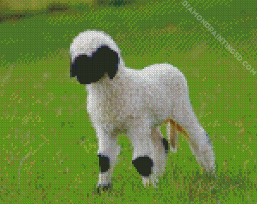 Baby Sheep Valas Blacknose Diamond Paintings