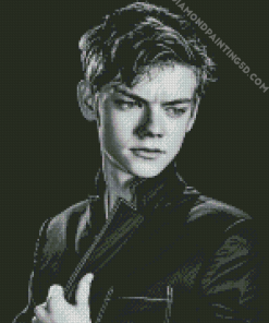 Black And White Thomas Brodie Sangster Diamond Paintings