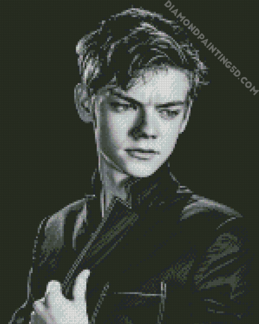 Black And White Thomas Brodie Sangster Diamond Paintings