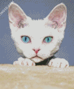 Blue Eyes Devon Rex Cat Diamond Paintings