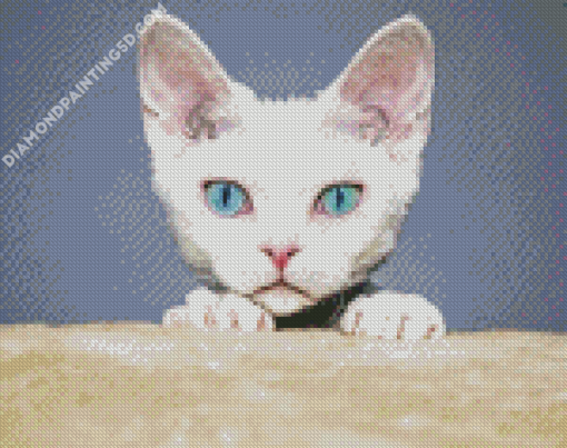 Blue Eyes Devon Rex Cat Diamond Paintings