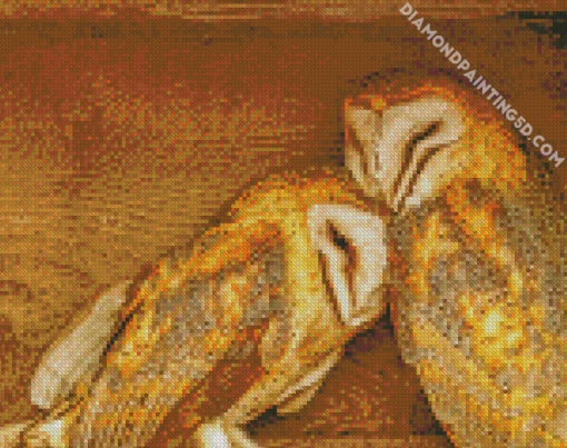 Cute Owl Couple Diamond Paintings