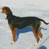 Finnish Hound Dog In Snow Diamond Paintings