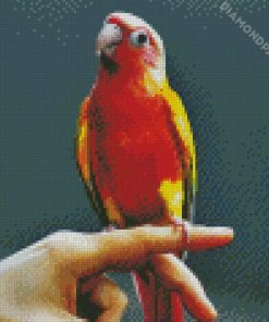 Cheeked Parakeet Diamond Paintings