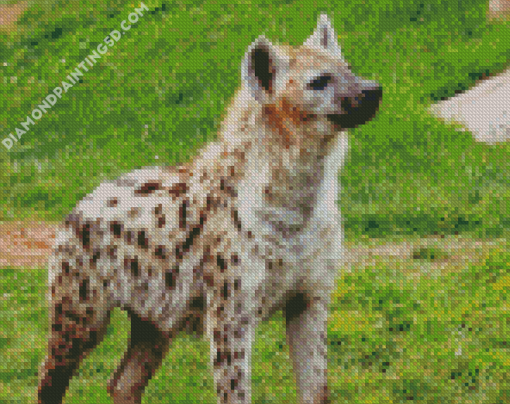 Spotted Hyena Animal Diamond Paintings