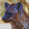 Spotted Hyena Face Diamond Paintings