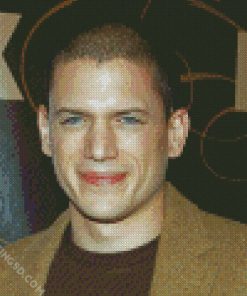 Wentworth Miller Actor Diamond Paintings