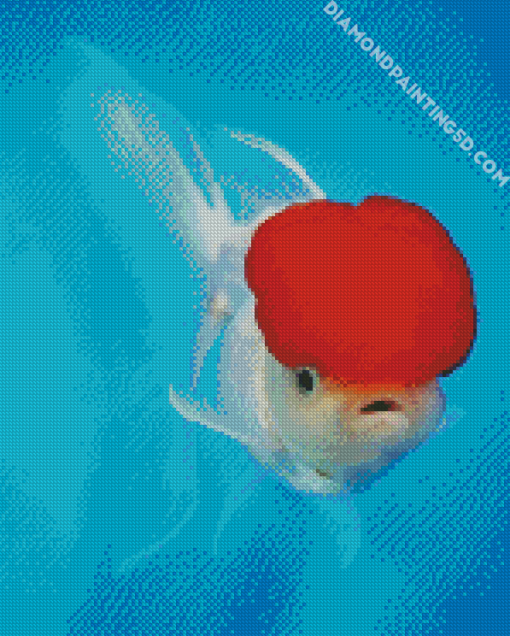 White Cap Fish Diamond Paintings