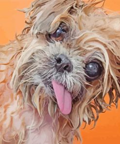 Adorable Wet Dog Diamond Paintings